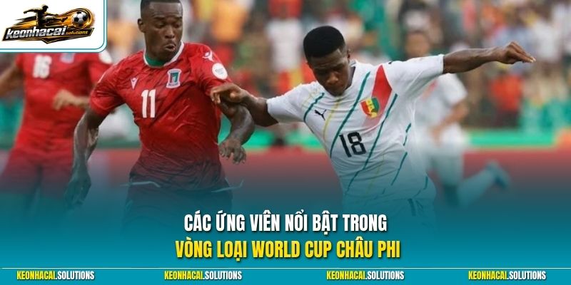Các ứng viên nổi bật trong vòng loại World Cup châu Phi