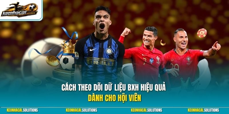 Cách theo dõi dữ liệu BXH hiệu quả dành cho hội viên