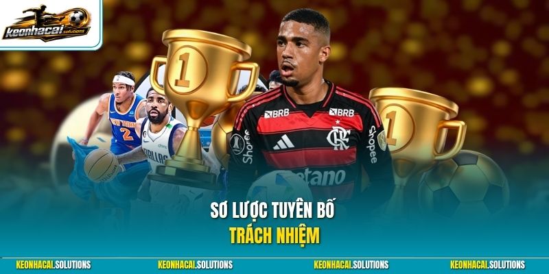 Sơ lược tuyên bố trách nhiệm